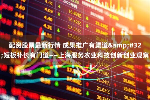 配资股票最新行情 成果推广有渠道&#32;短板补长有门道——上海服务农业科技创新创业观察