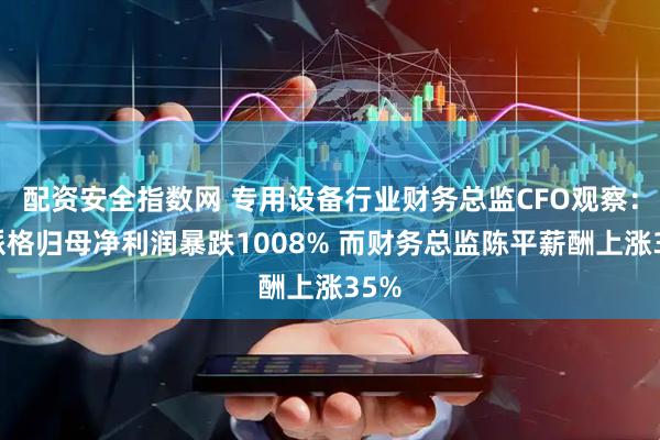 配资安全指数网 专用设备行业财务总监CFO观察：威派格归母净利润暴跌1008% 而财务总监陈平薪酬上涨35%