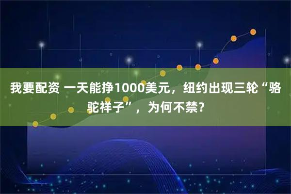 我要配资 一天能挣1000美元，纽约出现三轮“骆驼祥子”，为何不禁？
