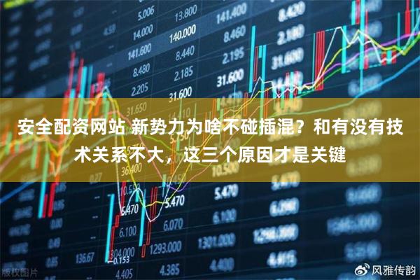 安全配资网站 新势力为啥不碰插混？和有没有技术关系不大，这三个原因才是关键